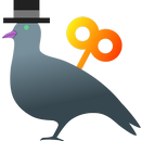 Navbara Pigeons